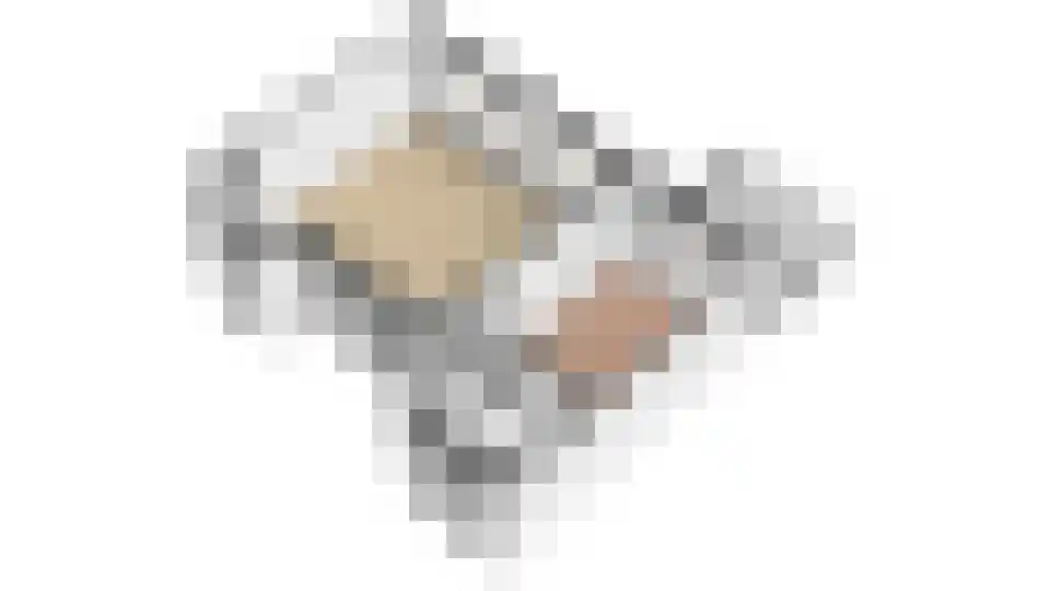 Rolandseck 2 Doorwerth thumbnail 18
