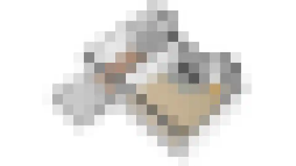 Rolandseck 2 Doorwerth thumbnail 19