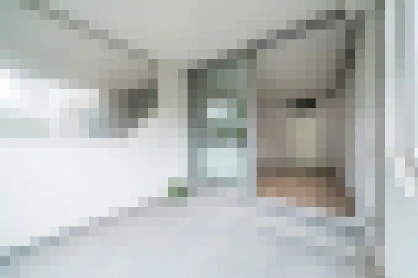 Rolandseck 28 Doorwerth thumbnail 5