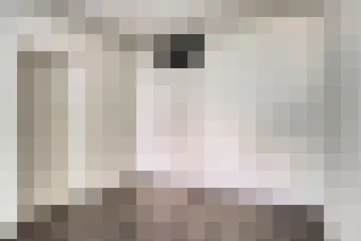 Rolandseck 39 Doorwerth thumbnail 11