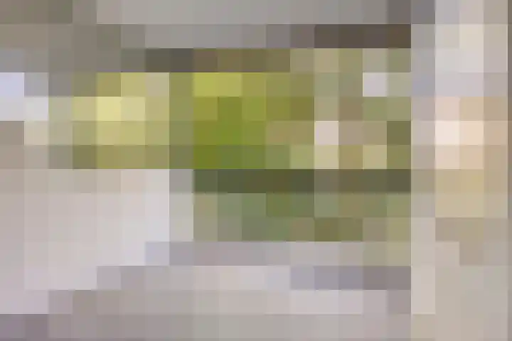 Rolandseck 39 Doorwerth thumbnail 14