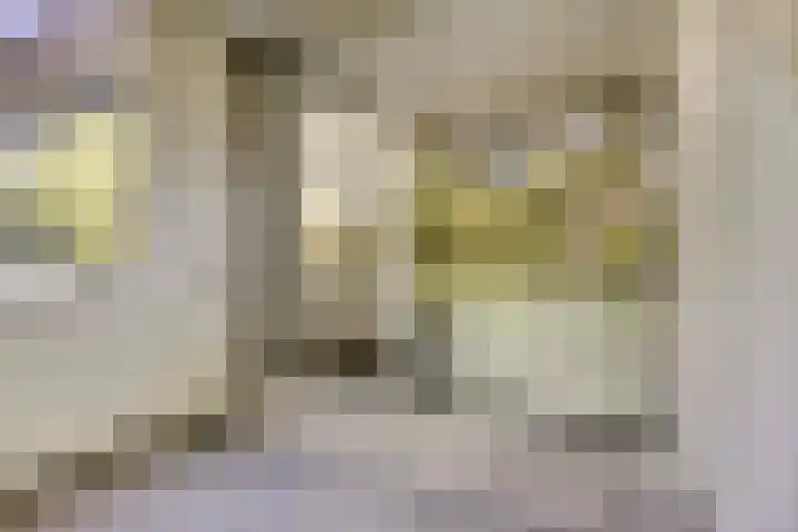 Rolandseck 39 Doorwerth thumbnail 15