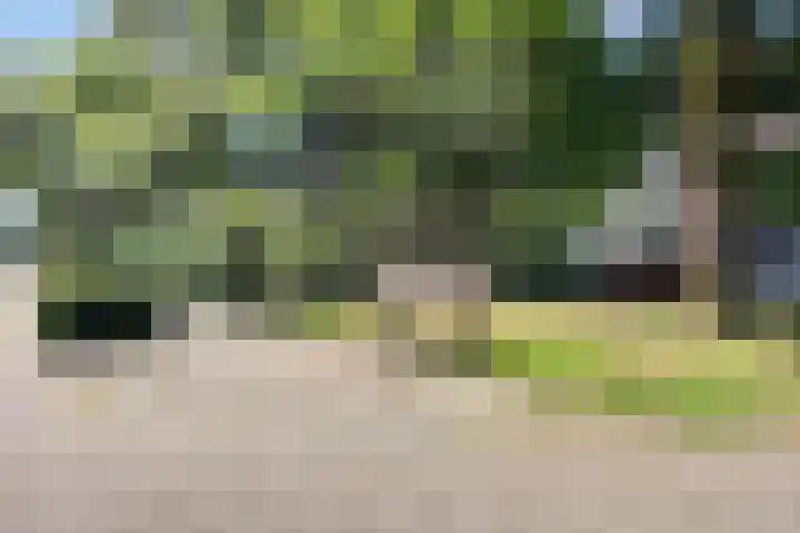 Rolandseck 39 Doorwerth thumbnail 18