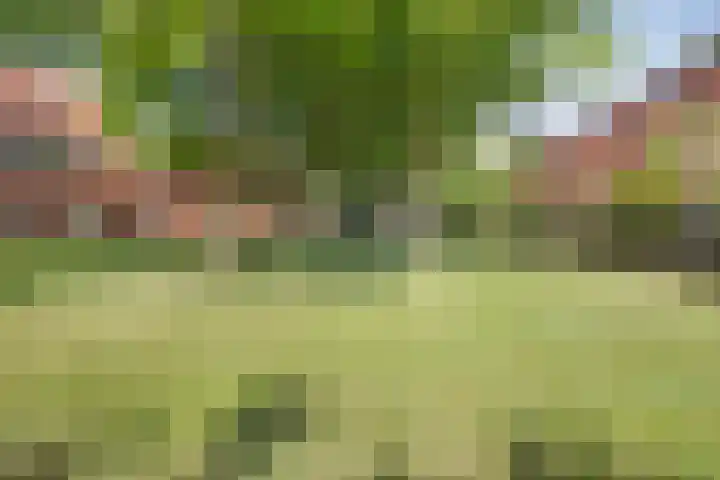 Rolandseck 39 Doorwerth thumbnail 19