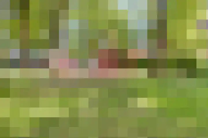 Rolandseck 39 Doorwerth thumbnail 20