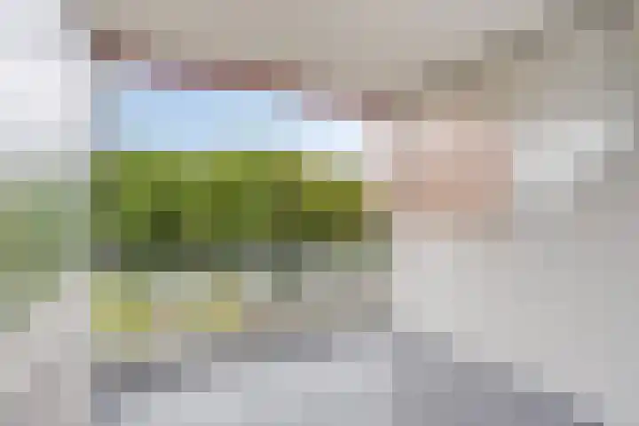 Rolandseck 40 Doorwerth thumbnail 13