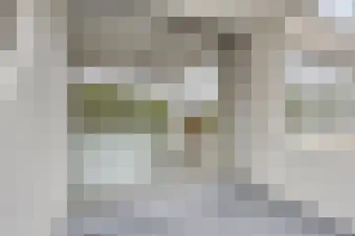 Rolandseck 40 Doorwerth thumbnail 15