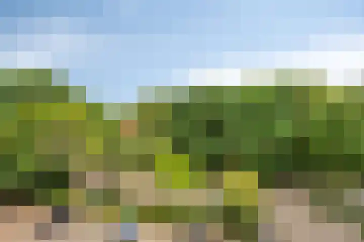 Rolandseck 40 Doorwerth thumbnail 16