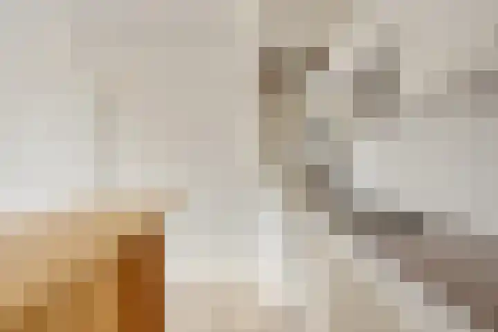 Rolandseck 40 Doorwerth thumbnail 19