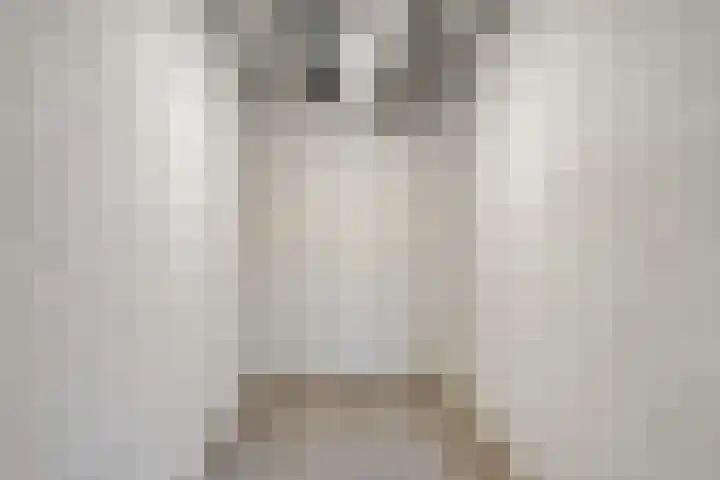 Rolandseck 40 Doorwerth thumbnail 24