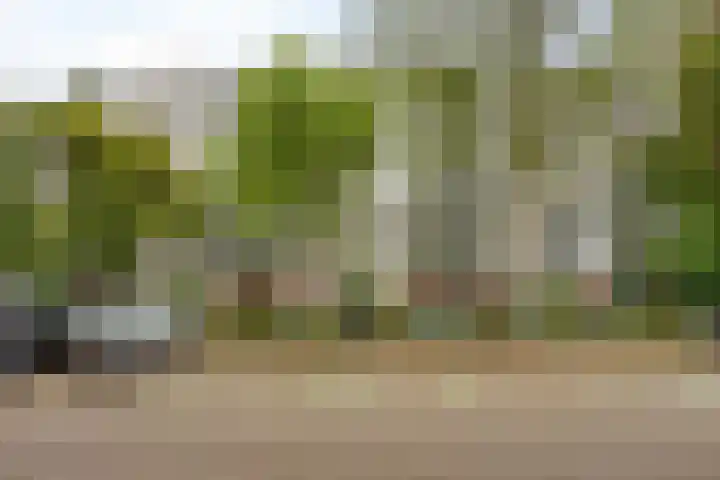 Rolandseck 40 Doorwerth thumbnail 26