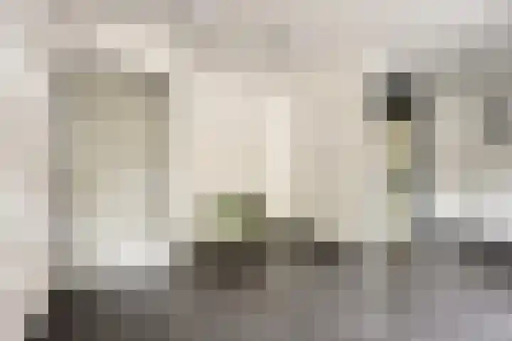 Rolandseck 40 Doorwerth thumbnail 7