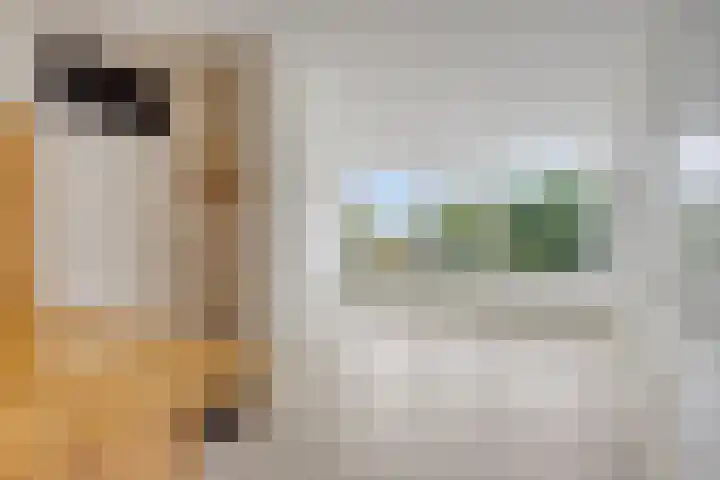 Rolandseck 40 Doorwerth thumbnail 9