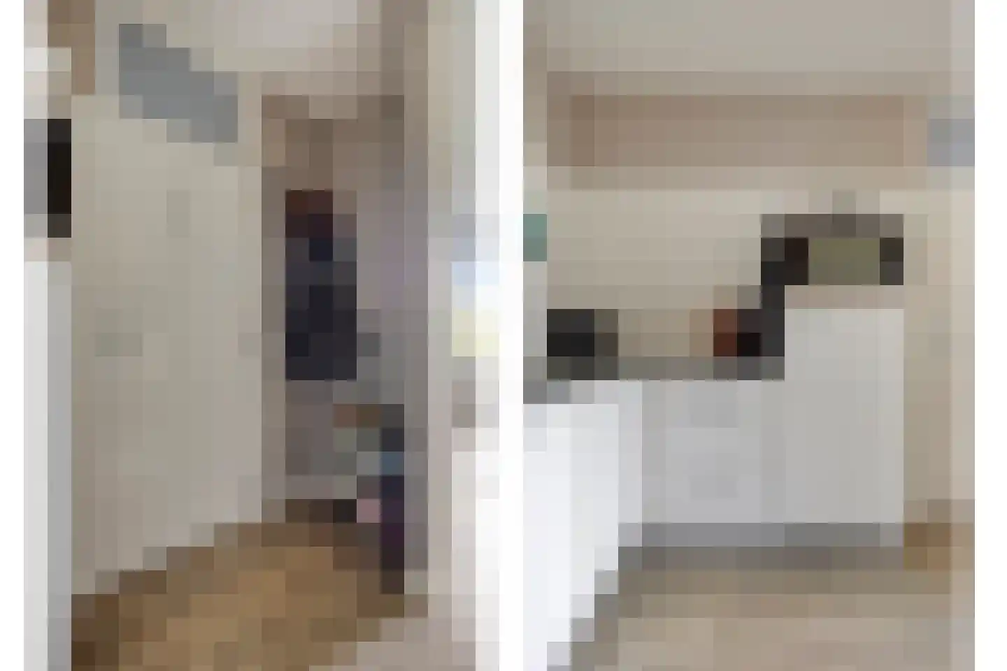 Rolandseck 44 Doorwerth thumbnail 6