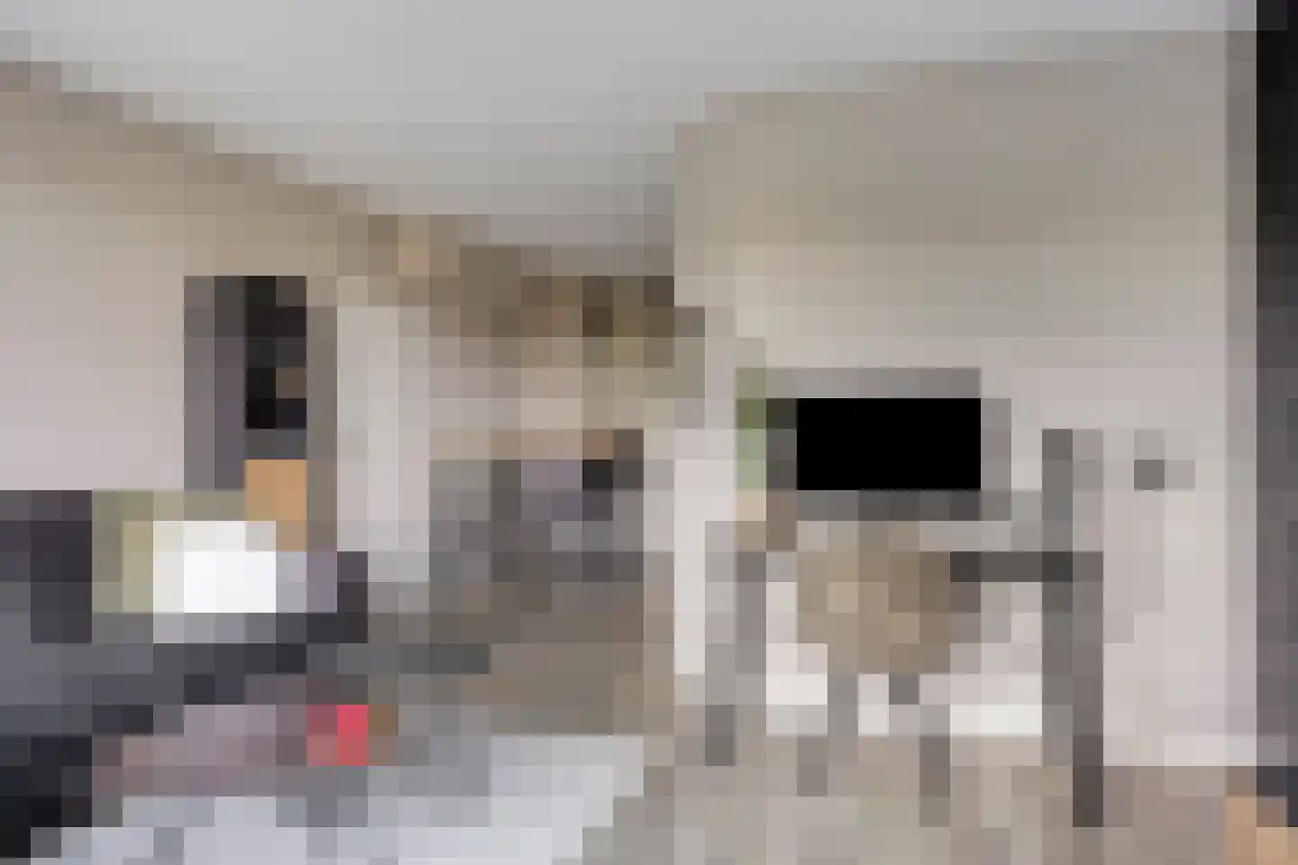 Rolandseck 44 Doorwerth thumbnail 8