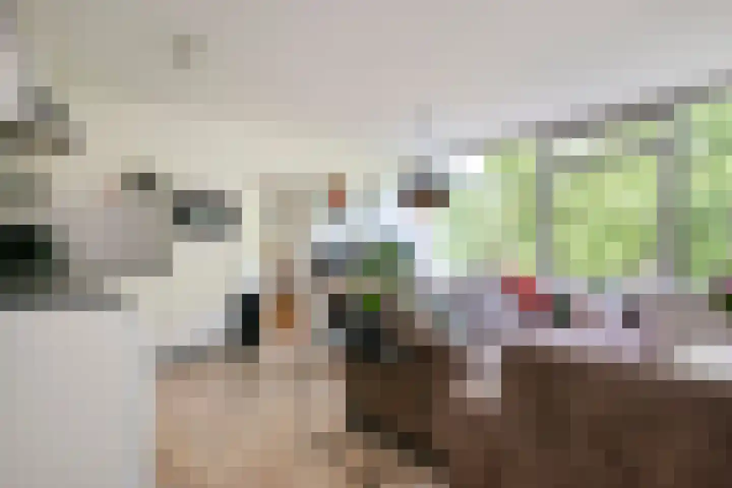 Rolandseck 47 Doorwerth thumbnail 11