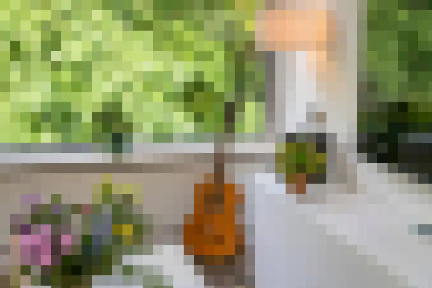 Rolandseck 47 Doorwerth thumbnail 16