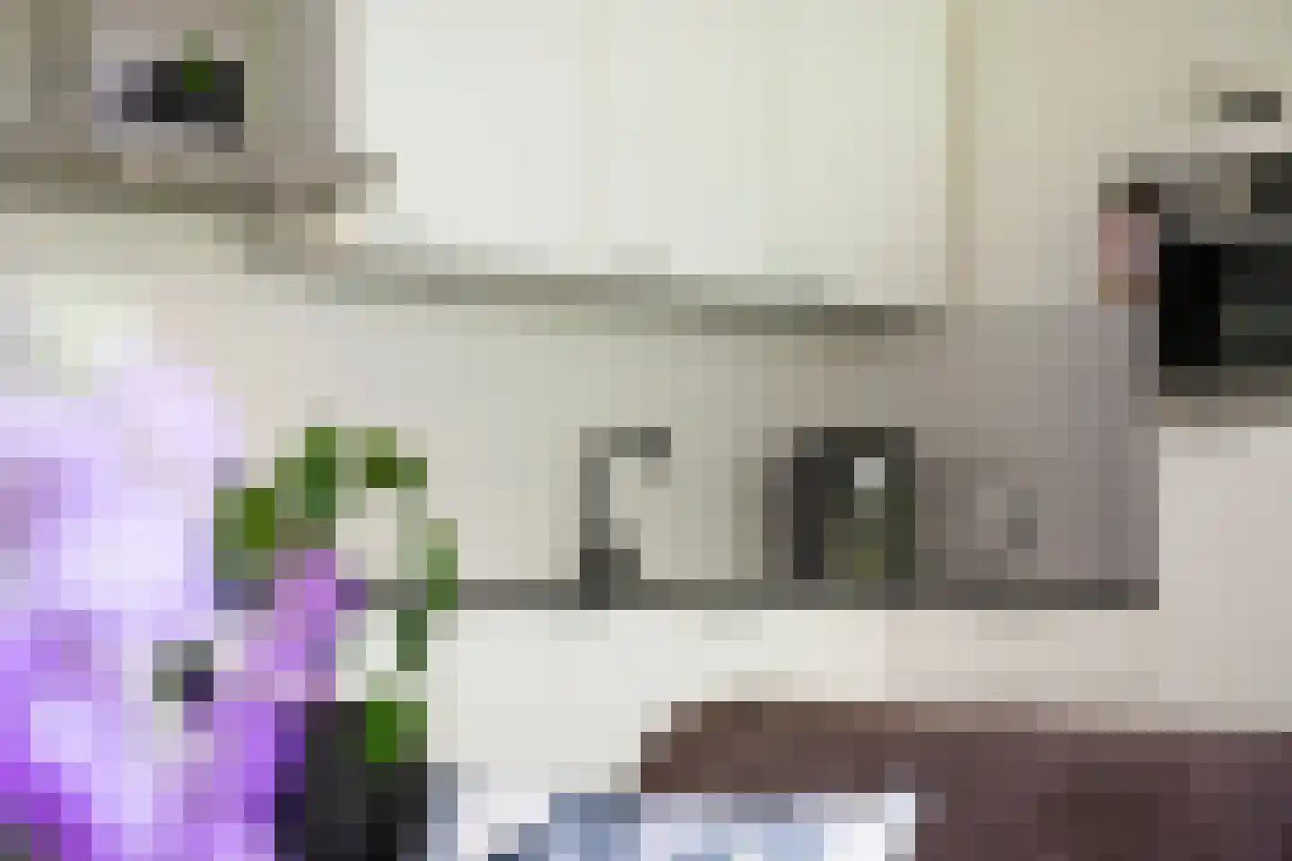Rolandseck 47 Doorwerth thumbnail 22