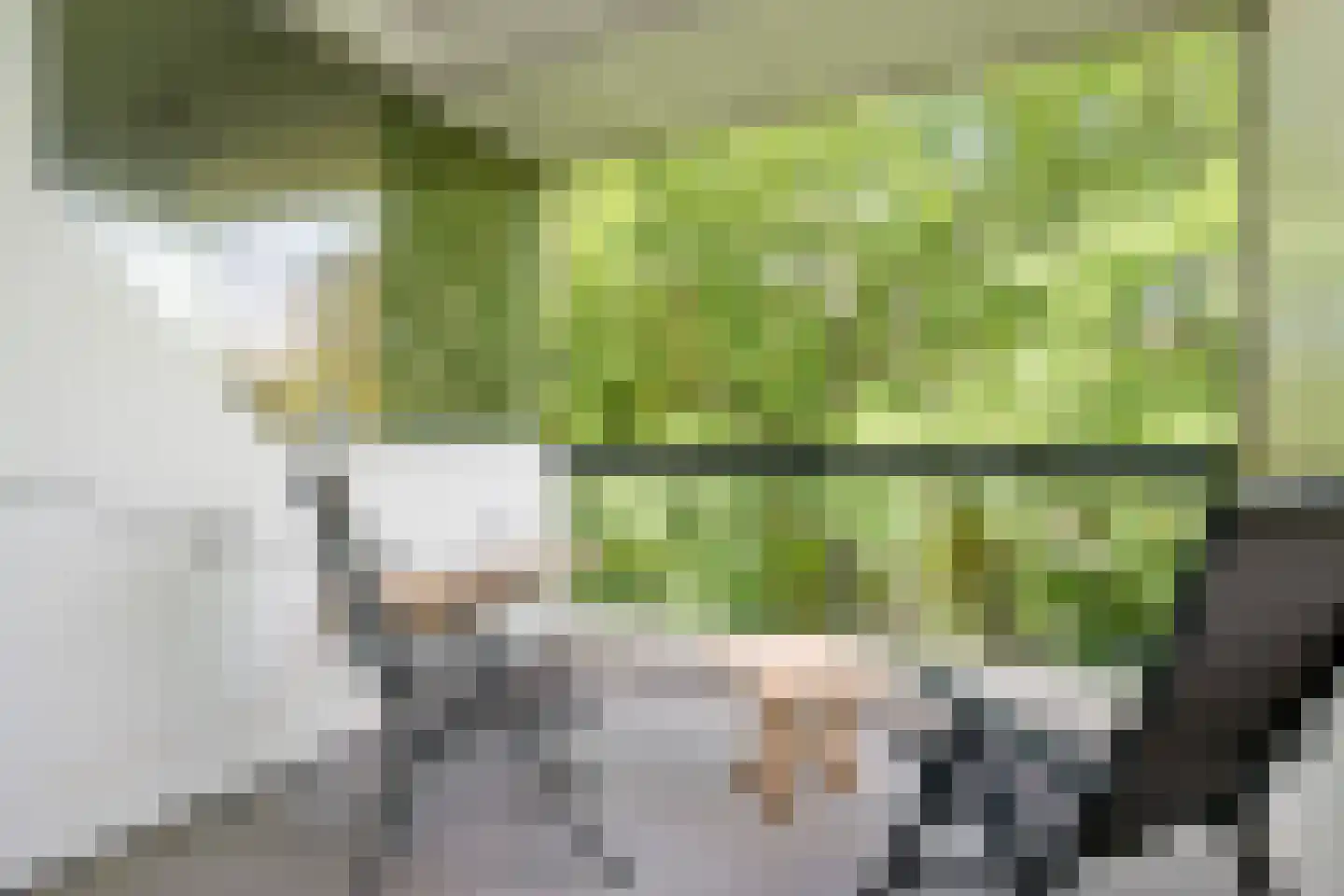 Rolandseck 47 Doorwerth thumbnail 32