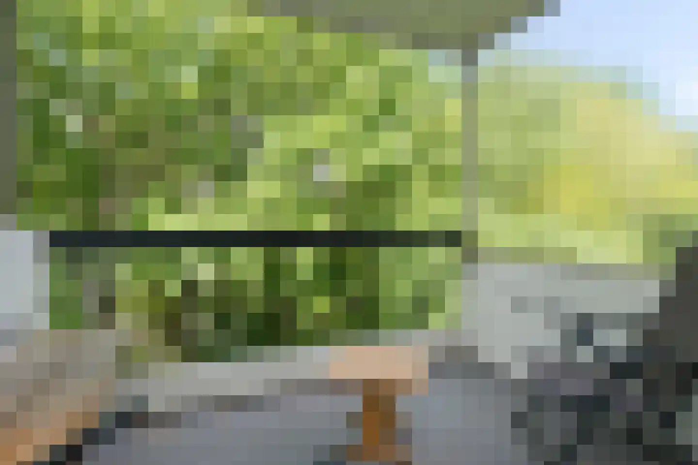 Rolandseck 47 Doorwerth thumbnail 33