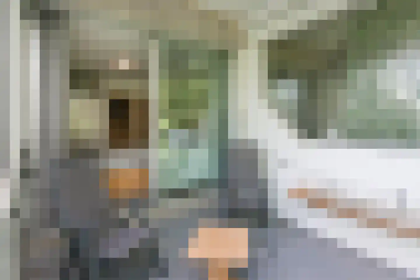 Rolandseck 47 Doorwerth thumbnail 34