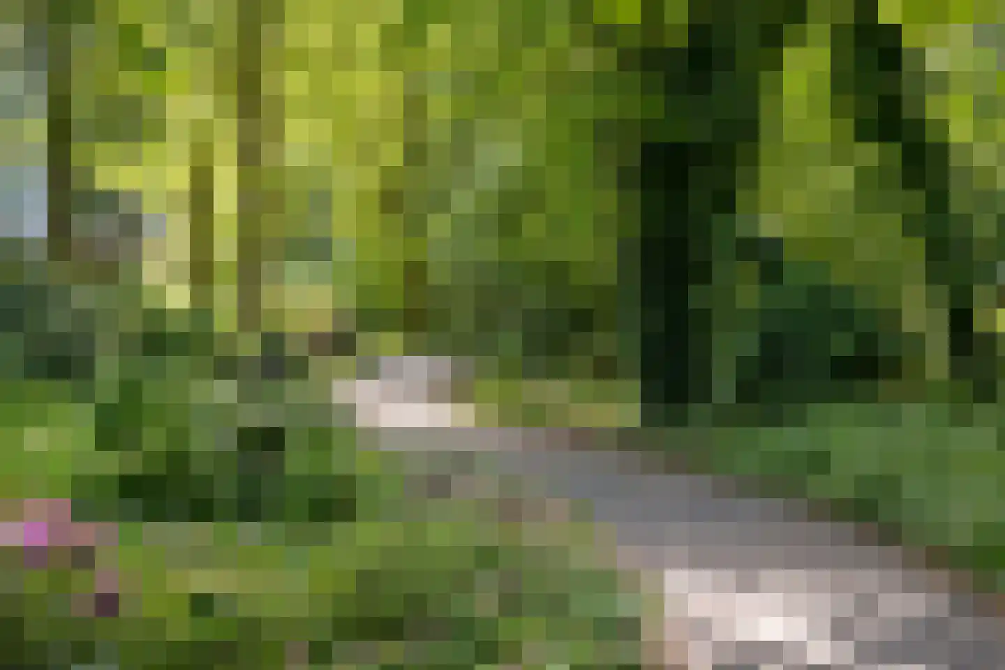 Rolandseck 47 Doorwerth thumbnail 40