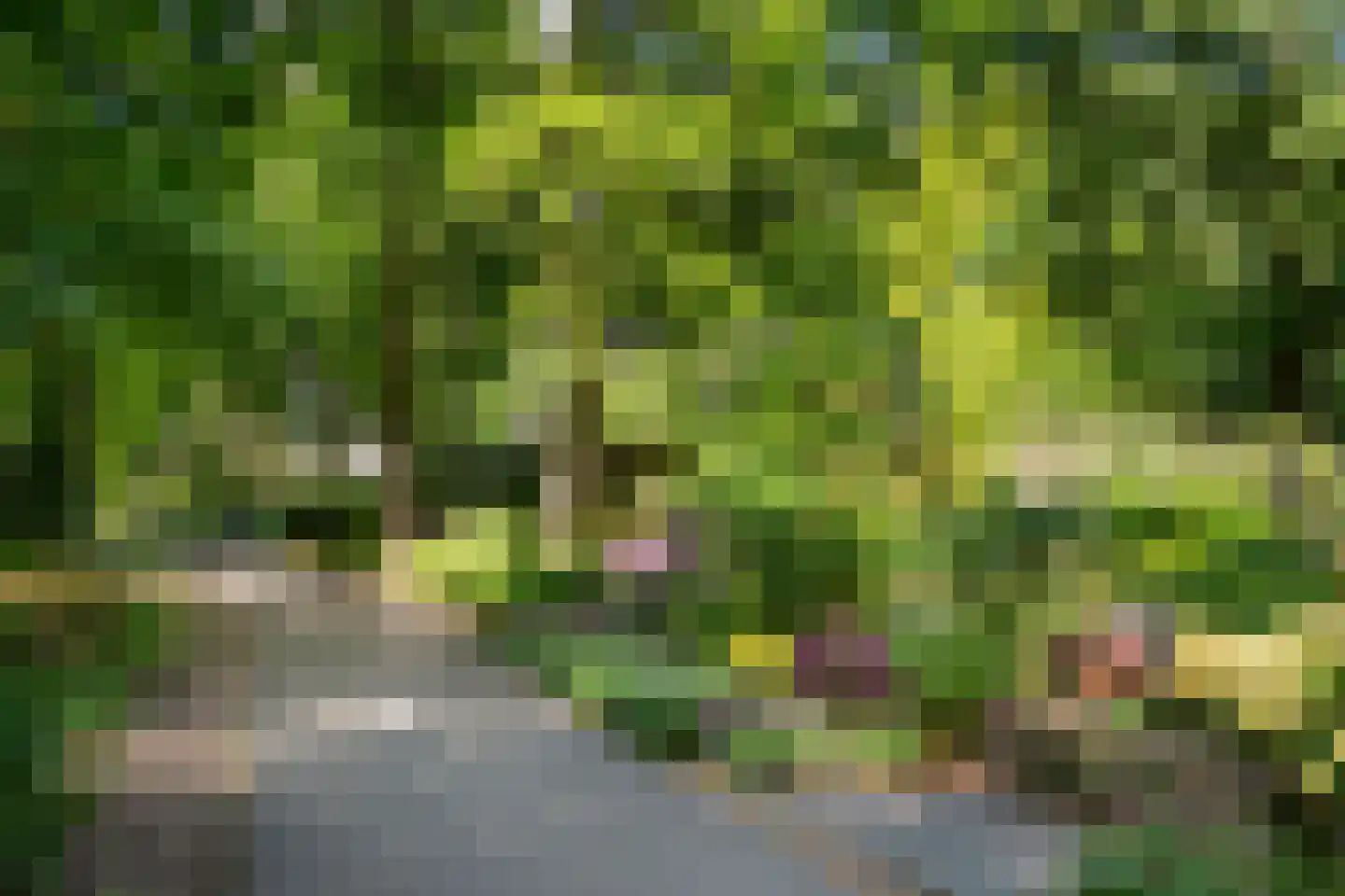 Rolandseck 47 Doorwerth thumbnail 41