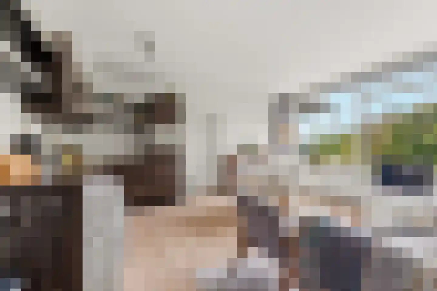 Rolandseck 71 Doorwerth thumbnail 12