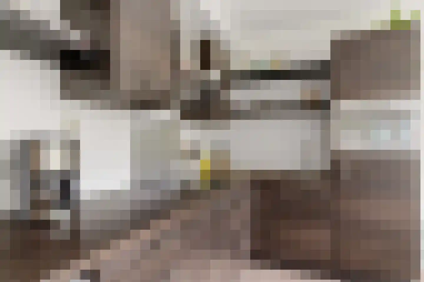 Rolandseck 71 Doorwerth thumbnail 15