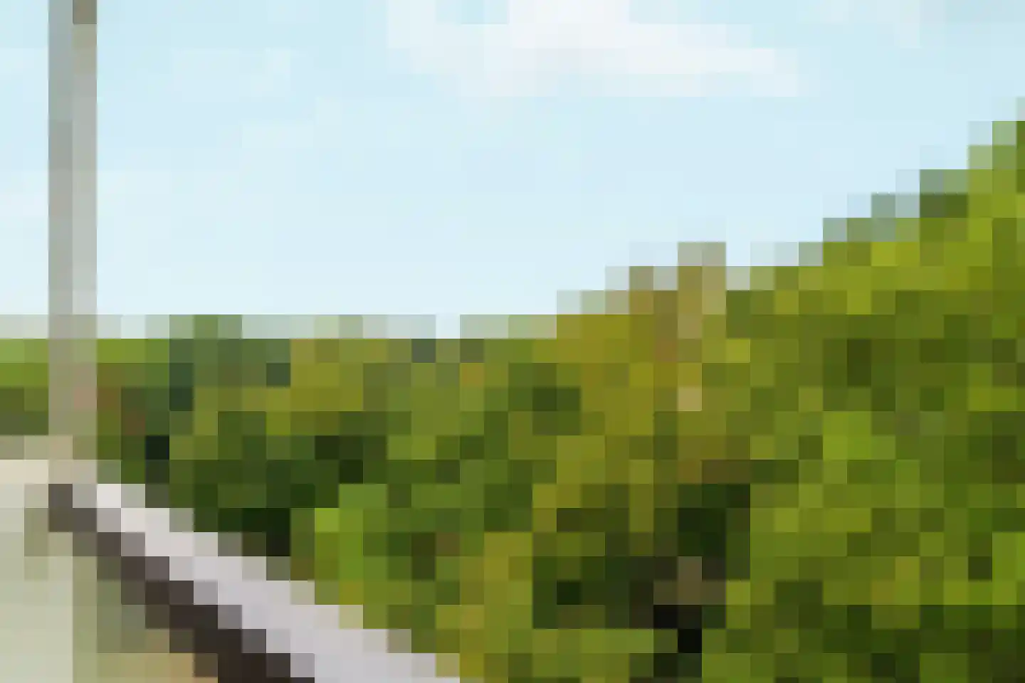 Rolandseck 71 Doorwerth thumbnail 20