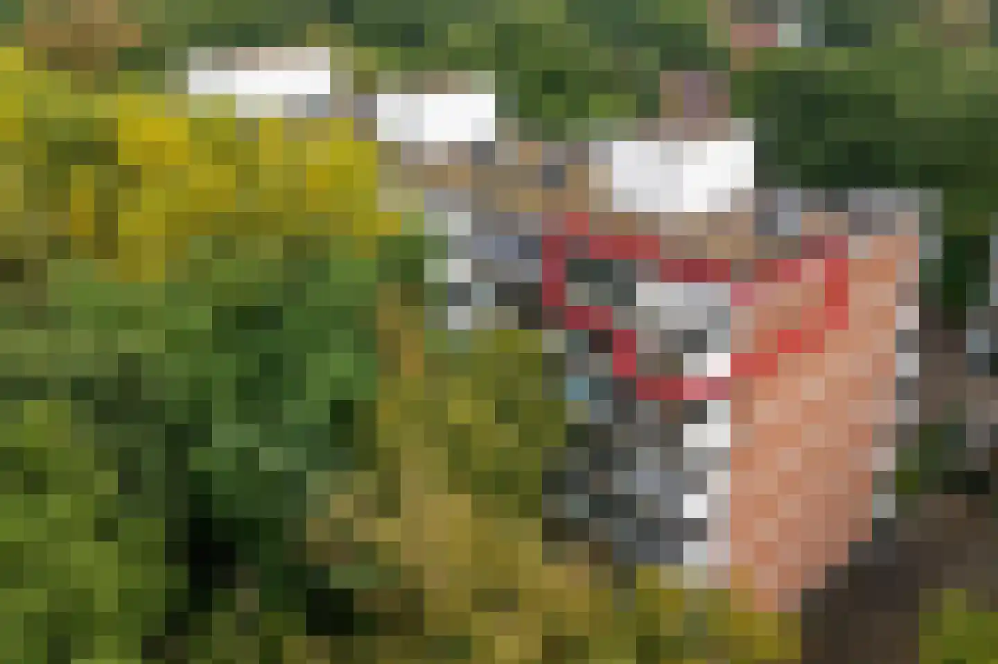 Rolandseck 71 Doorwerth thumbnail 25