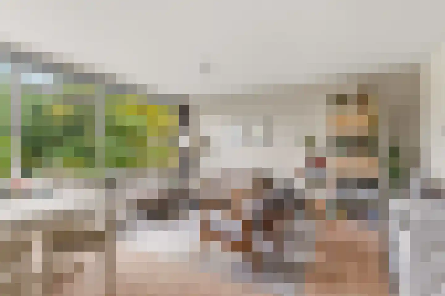 Rolandseck 71 Doorwerth thumbnail 9