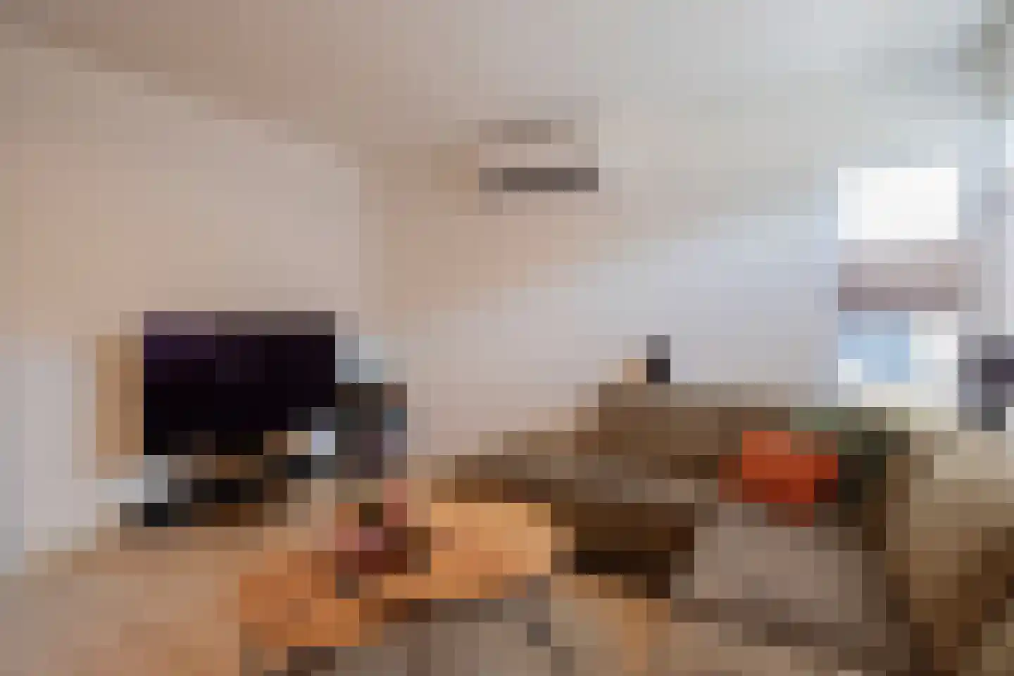 Rolandsweg 6 Sittard thumbnail 9