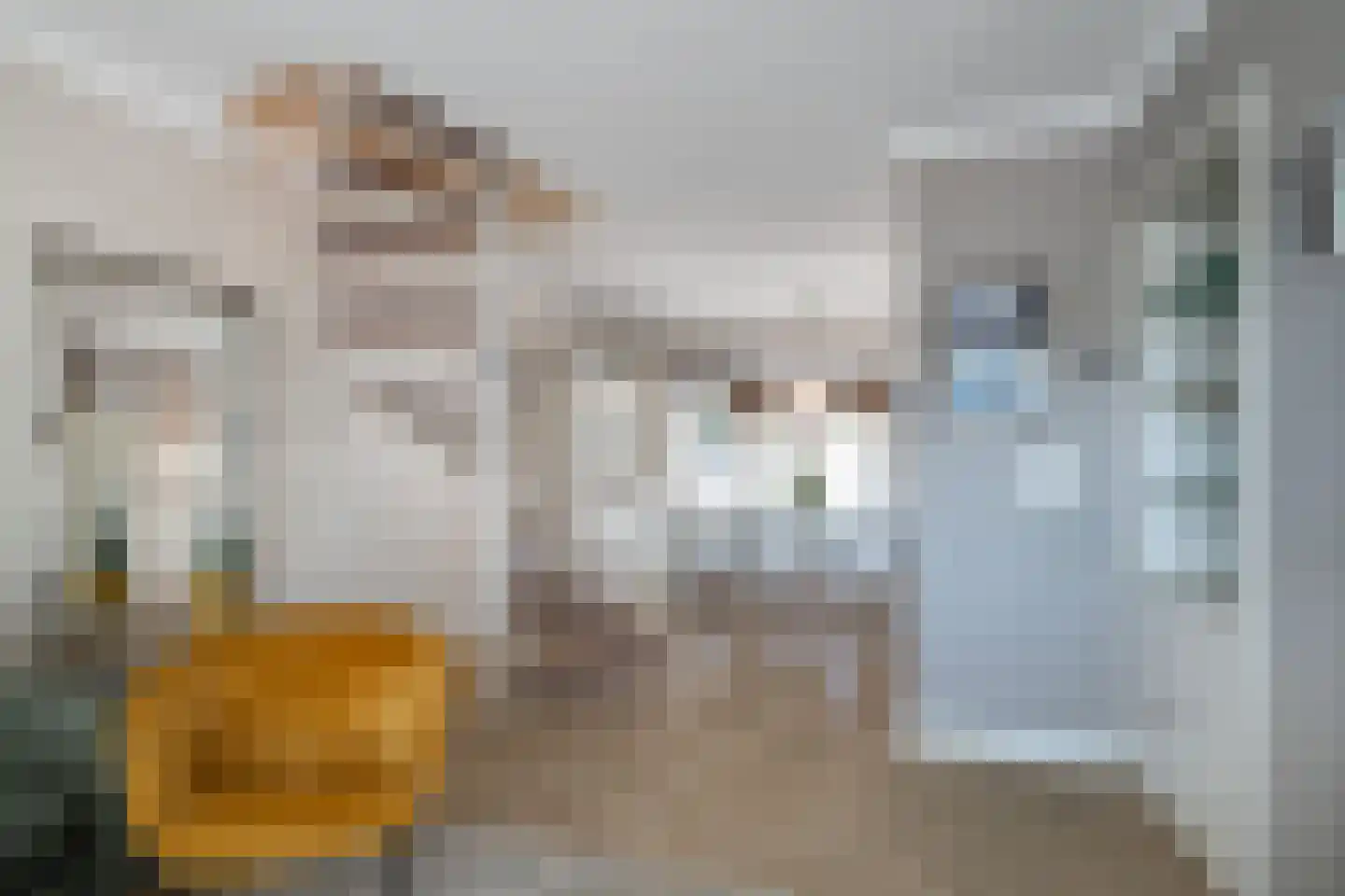 Rolandsweg 68 Sittard thumbnail 6
