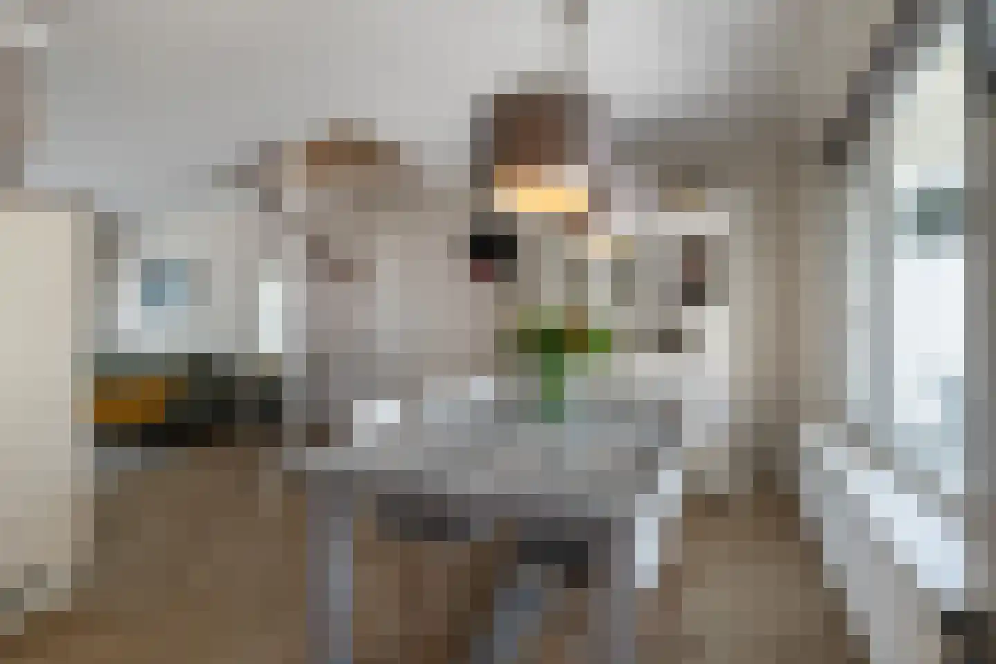 Rolandsweg 68 Sittard thumbnail 7