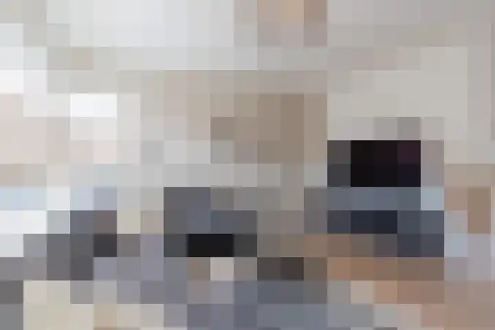 Rolandsweg 8 Sittard thumbnail 8