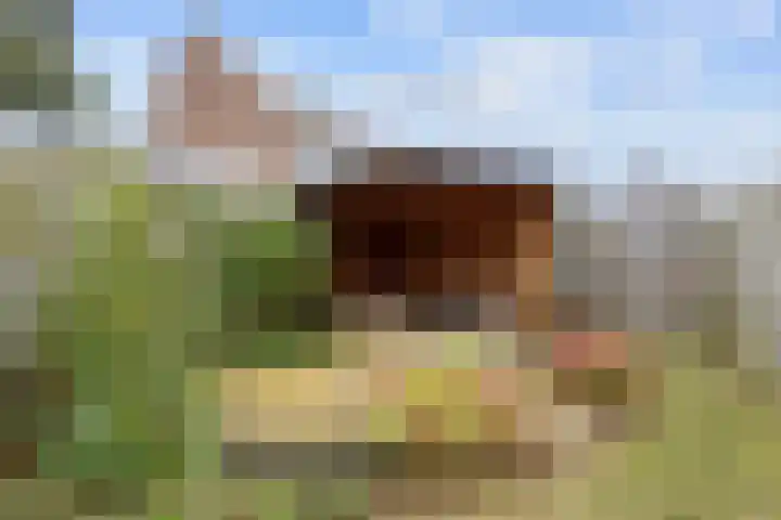 Rolblok 39 Delfzijl thumbnail 38