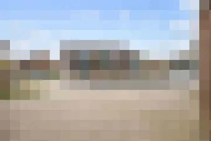 Rolblok 39 Delfzijl thumbnail 42