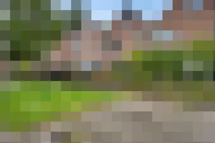 Rolderbrink 107 Emmen thumbnail 37