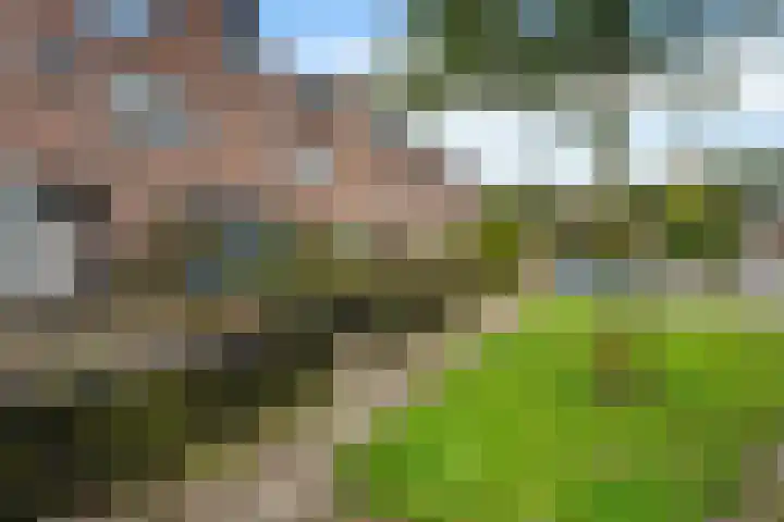 Rolderbrink 107 Emmen thumbnail 40