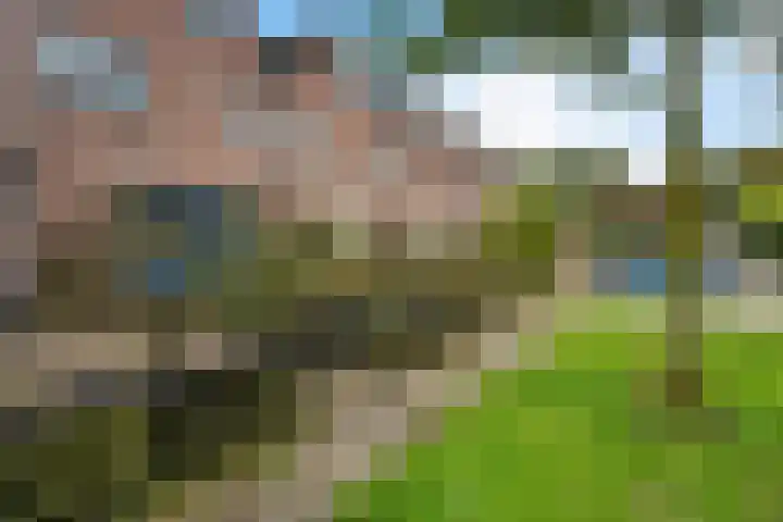 Rolderbrink 107 Emmen thumbnail 41