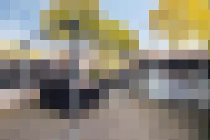 Rolderbrink 114 Emmen thumbnail 38