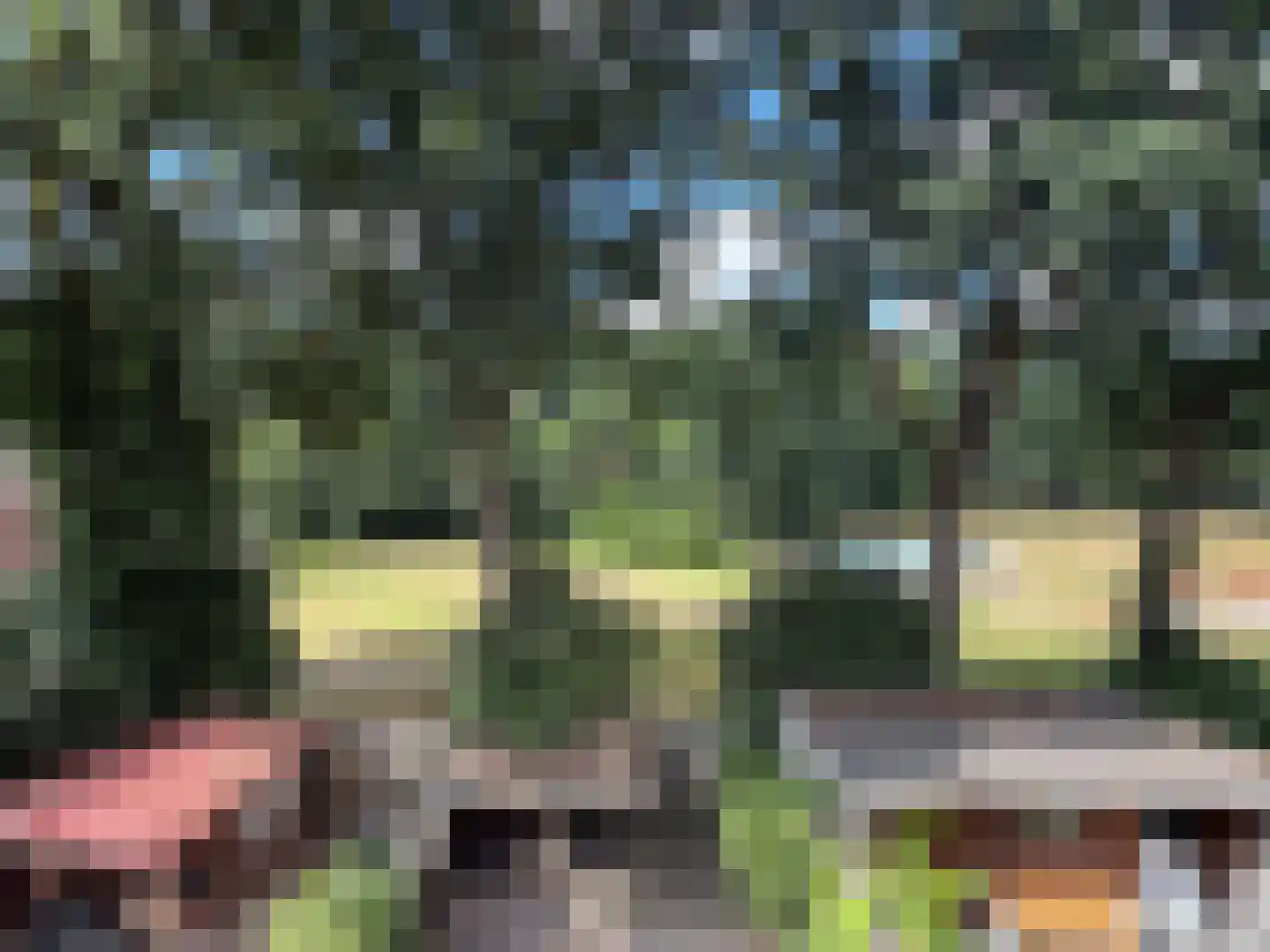 Rolderbrink 144 Emmen thumbnail 19