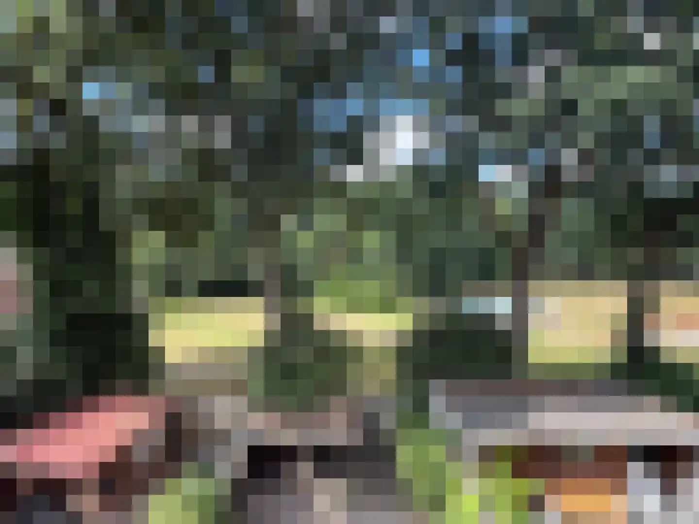 Rolderbrink 144 Emmen thumbnail 4