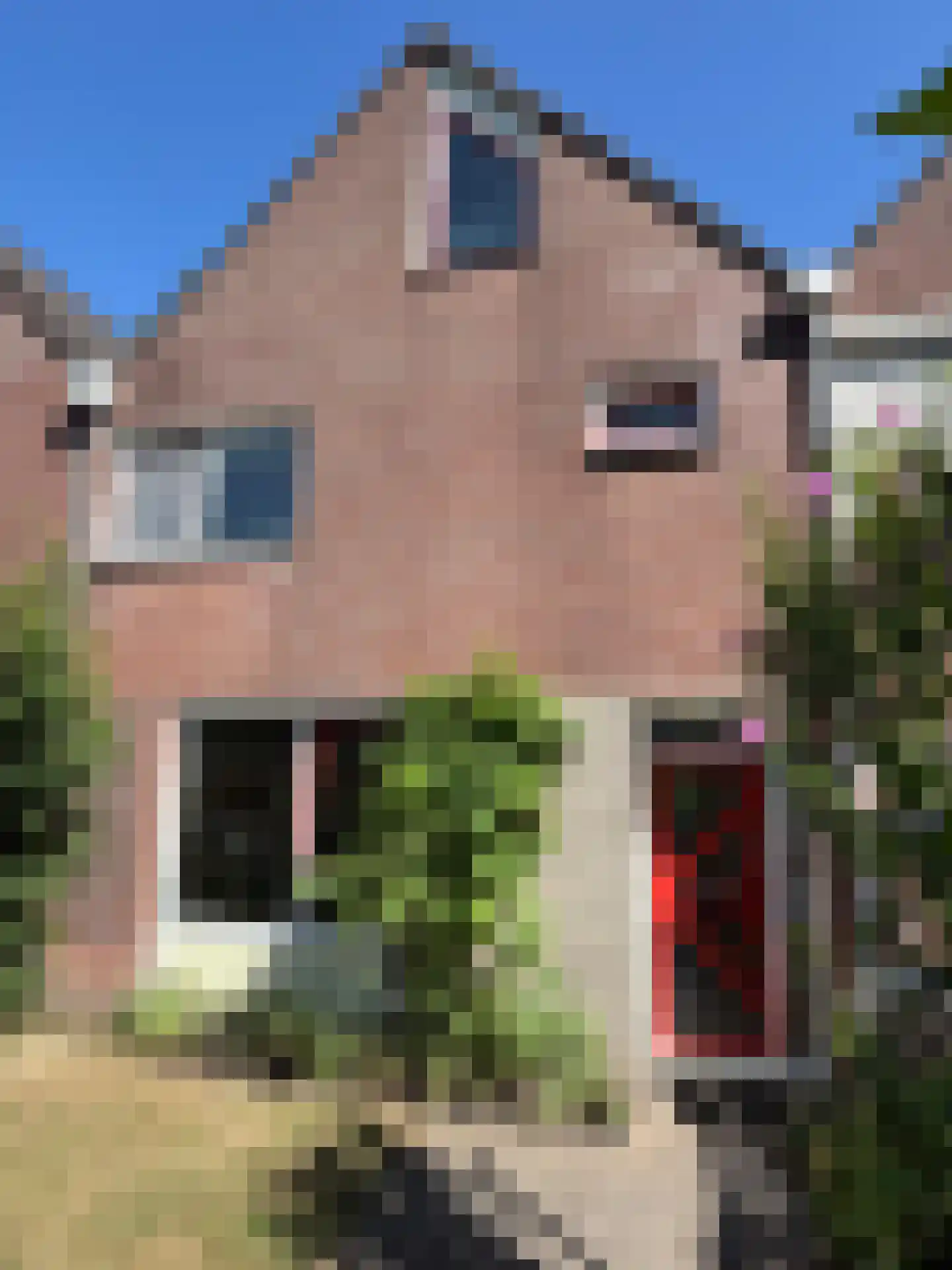 Rolderbrink 144 Emmen thumbnail 5