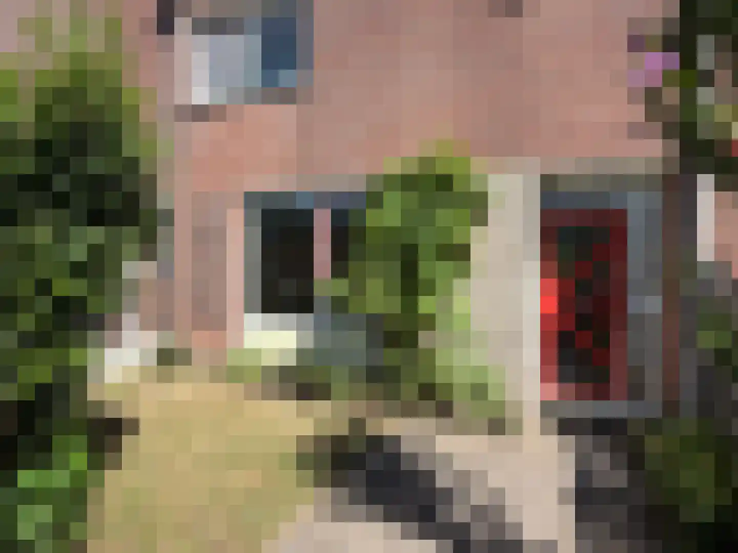 Rolderbrink 144 Emmen thumbnail 6