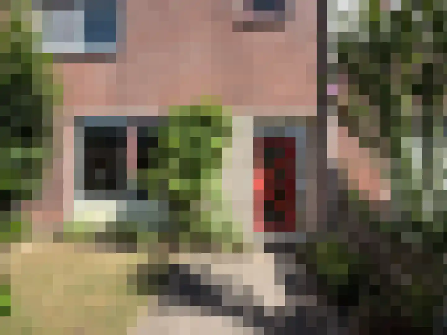 Rolderbrink 144 Emmen thumbnail 7