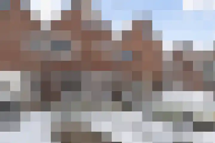 Rolderbrink 170 Emmen thumbnail 4