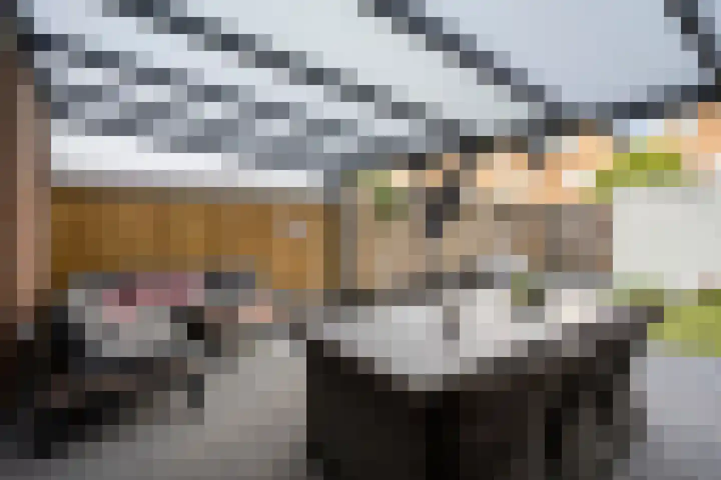 Rolderbrink 172 Emmen thumbnail 36