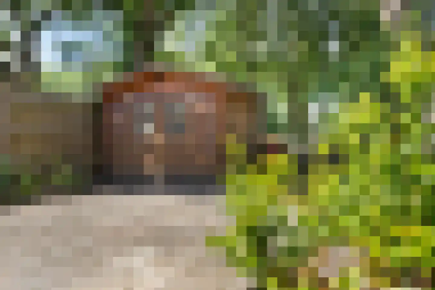 Rolderbrink 205 Emmen thumbnail 32